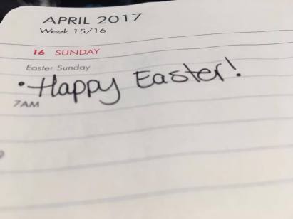 18012677_10158667612775085_67546351_o