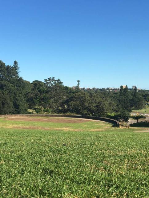 18015663_10158667611565085_1113522469_o