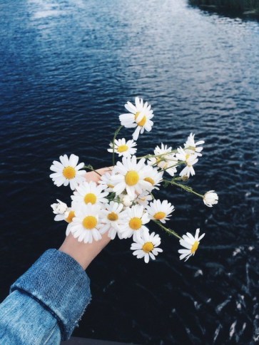 tumblr_o1rrf5d8W31u9bktno1_500